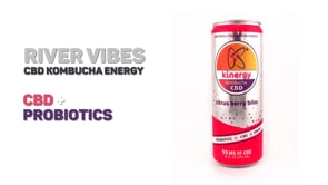 
                  
                    Load and play video in Gallery viewer, River Vibes - CBD Isolate + Kombucha + Probiotics + L-Theanine - Product Overview
                  
                